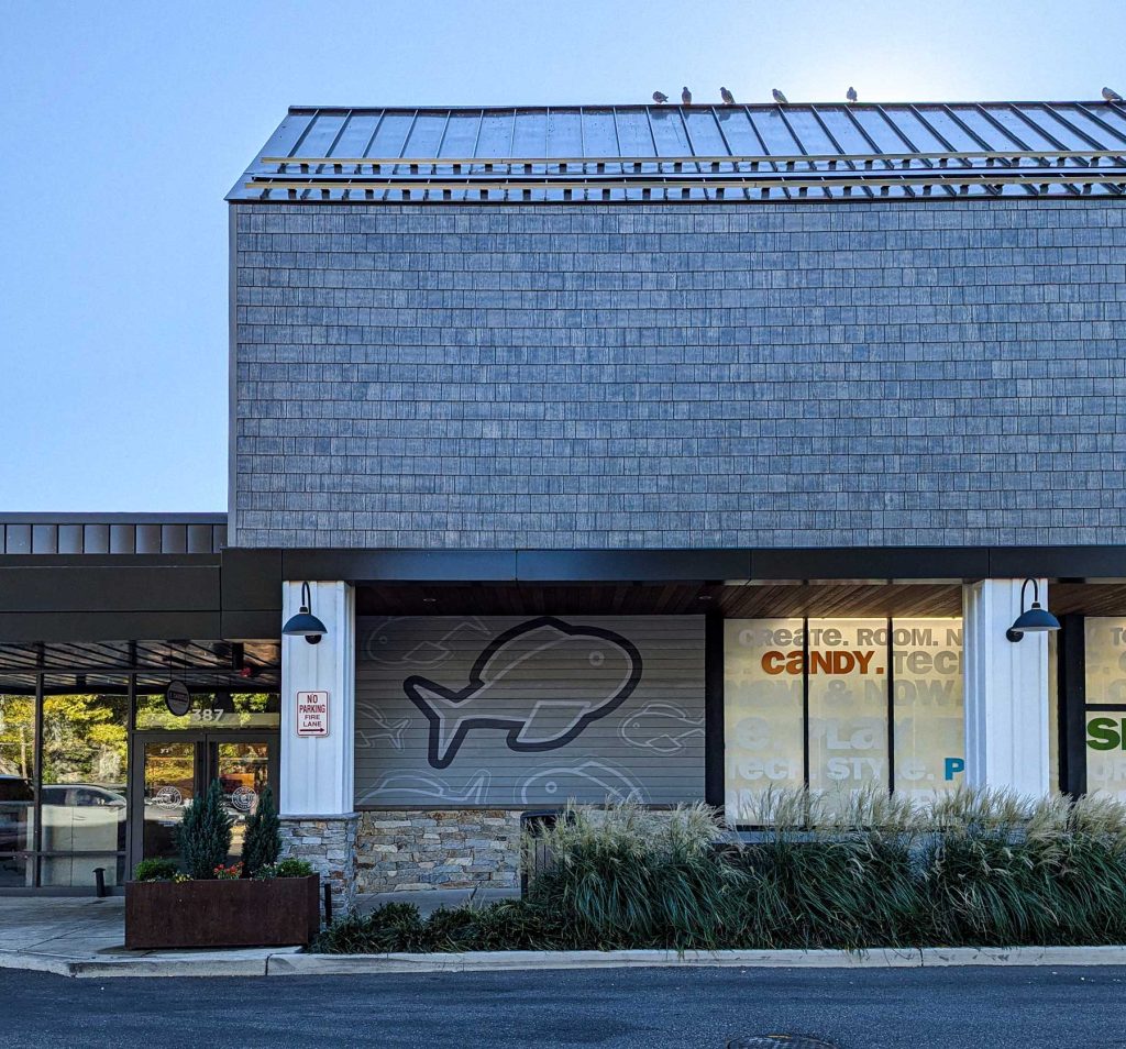 Hauppauge Shopping Center | Suffolk County, NY | Project by BCT Design Group