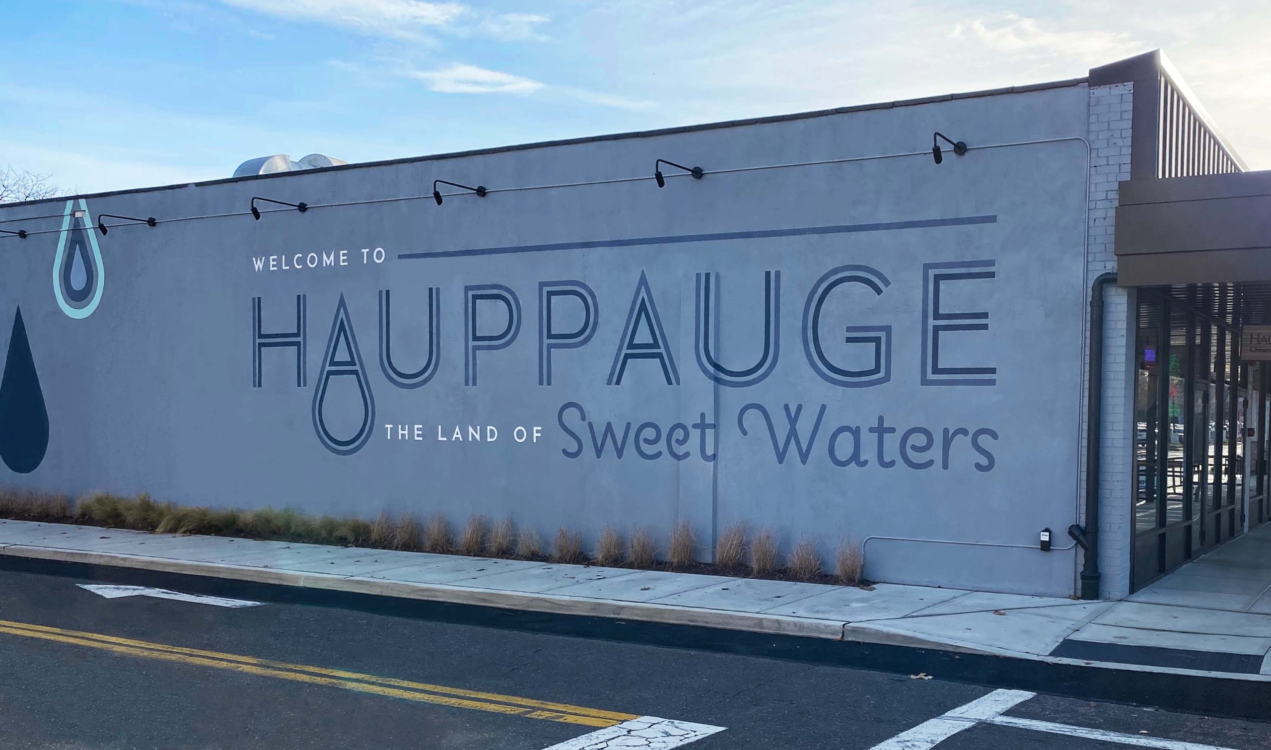 Hauppauge Shopping Center | Suffolk County, NY | Project by BCT Design Group